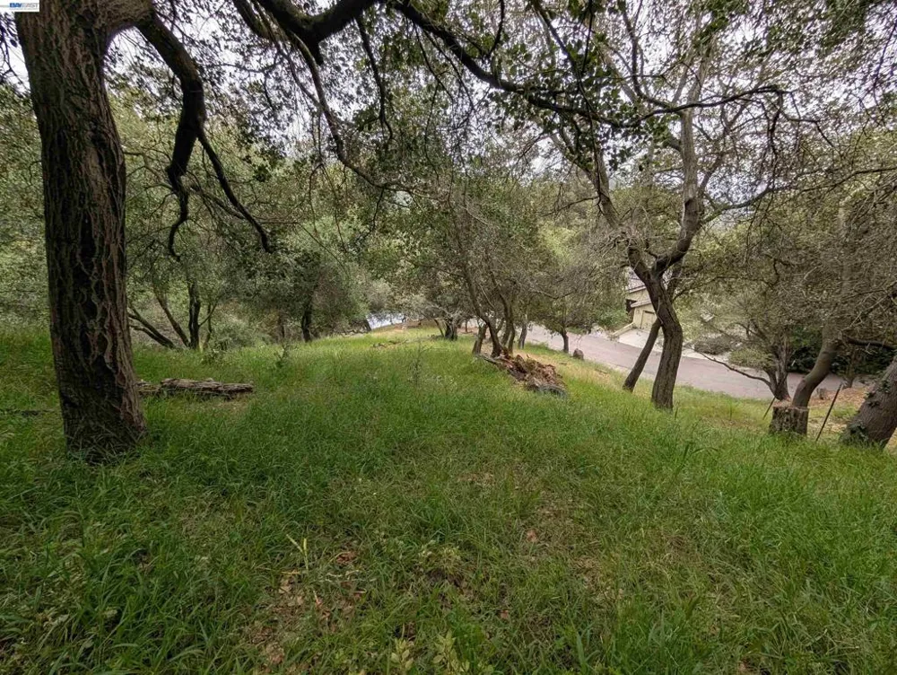 Girvin Drive Oakland, CA 94603