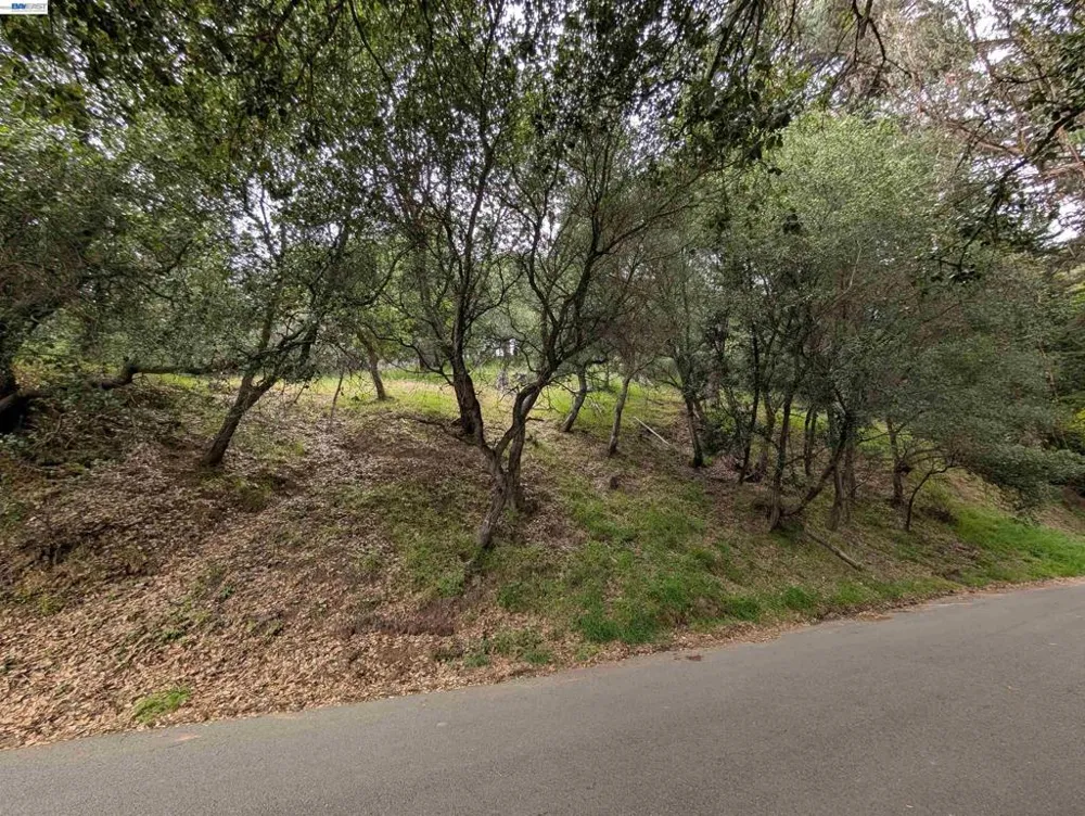 Girvin Drive Oakland, CA 94603