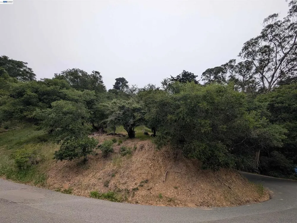 Girvin Drive Oakland, CA 94603