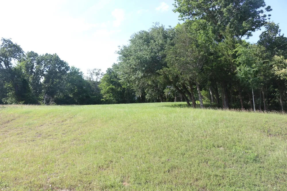 Heritage Drive Point Blank, TX 77364
