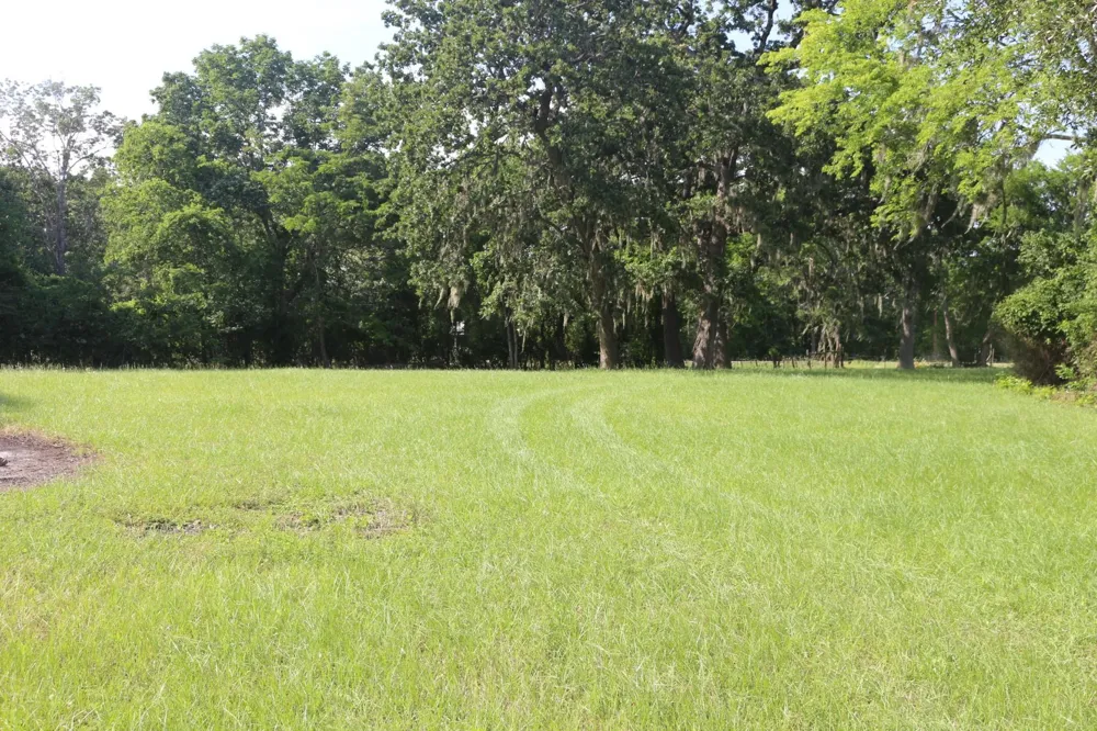 Heritage Drive Point Blank, TX 77364