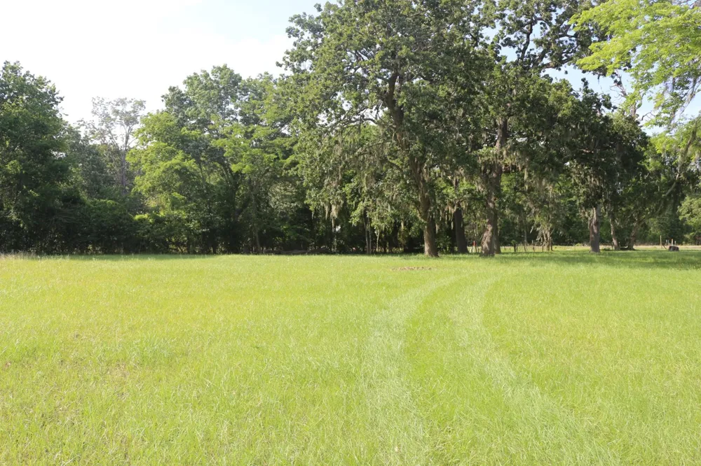 Heritage Drive Point Blank, TX 77364