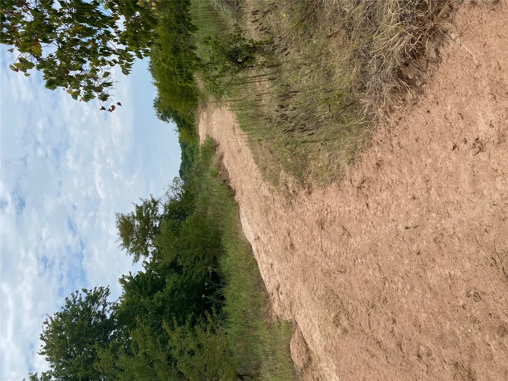 Mac Frazier Road Leon, OK 73441