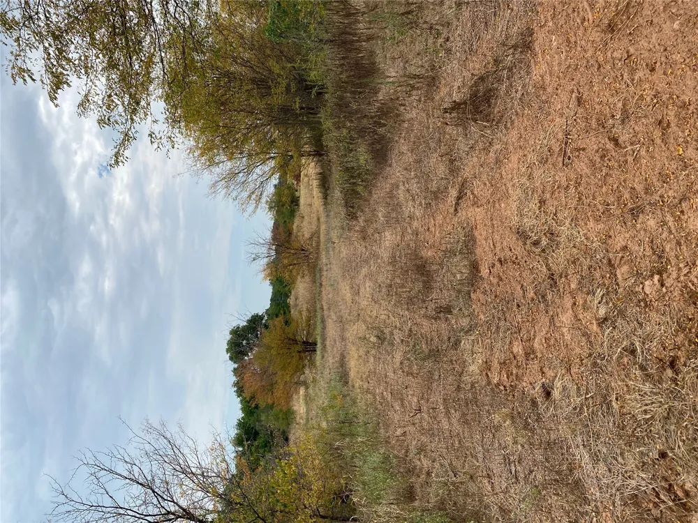 Mac Frazier Road Leon, OK 73441