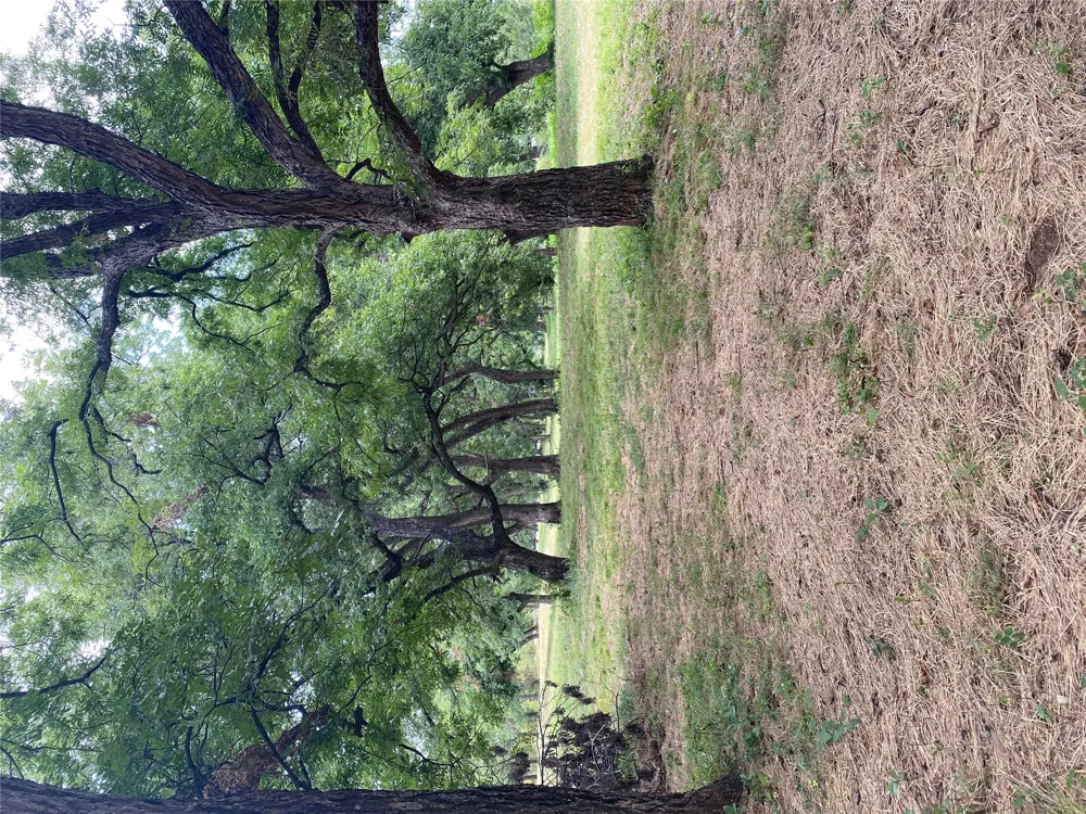 Mac Frazier Road Leon, OK 73441