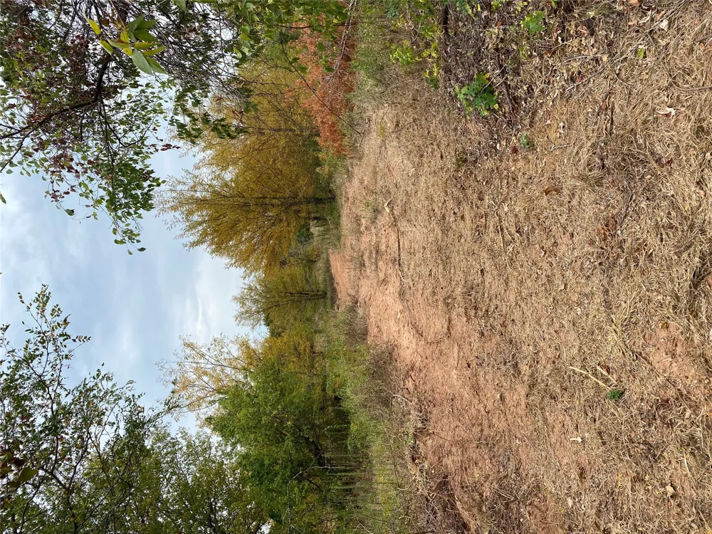 Mac Frazier Road Leon, OK 73441