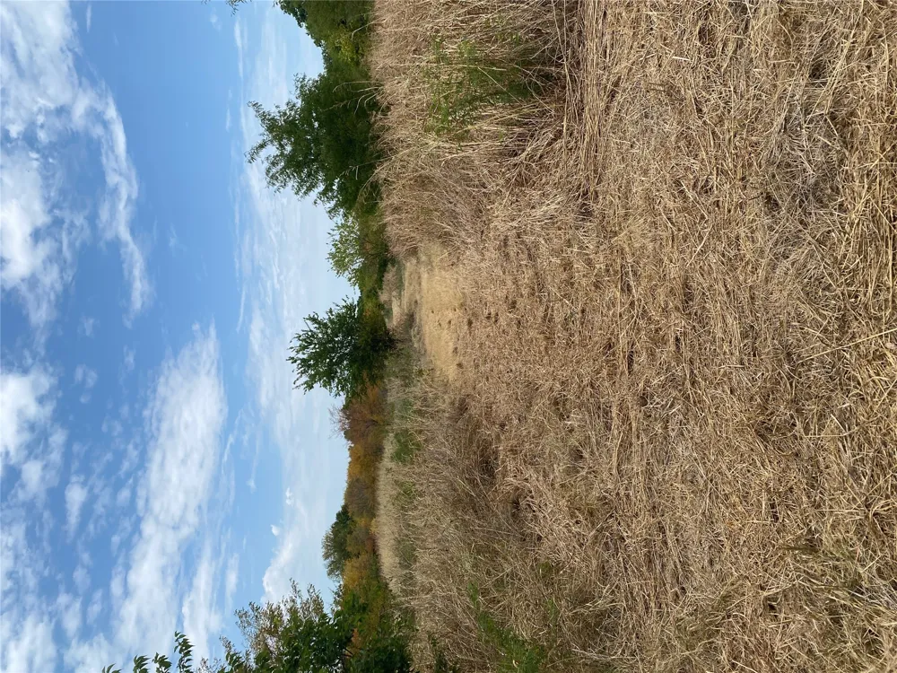 Mac Frazier Road Leon, OK 73441