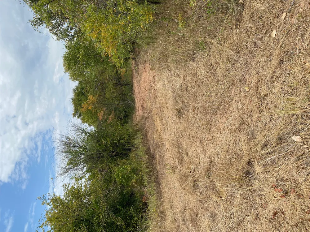 Mac Frazier Road Leon, OK 73441