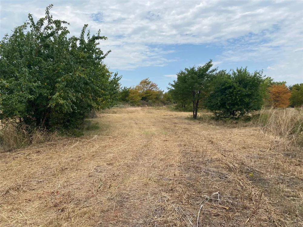 Mac Frazier Road Leon, OK 73441
