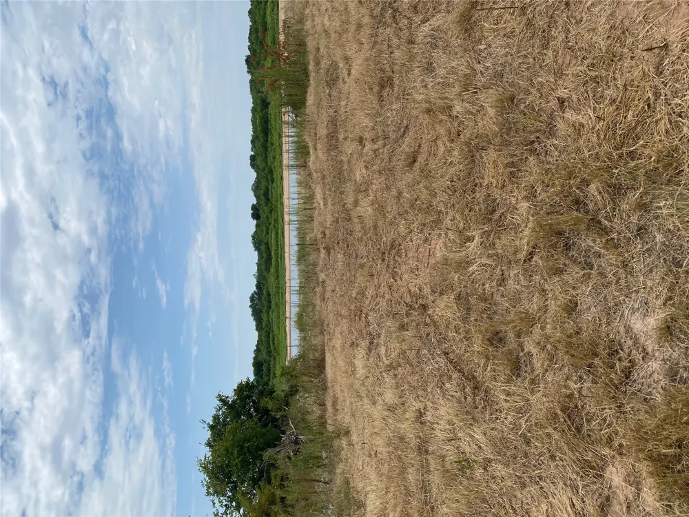 Mac Frazier Road Leon, OK 73441
