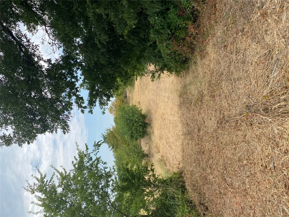 Mac Frazier Road Leon, OK 73441