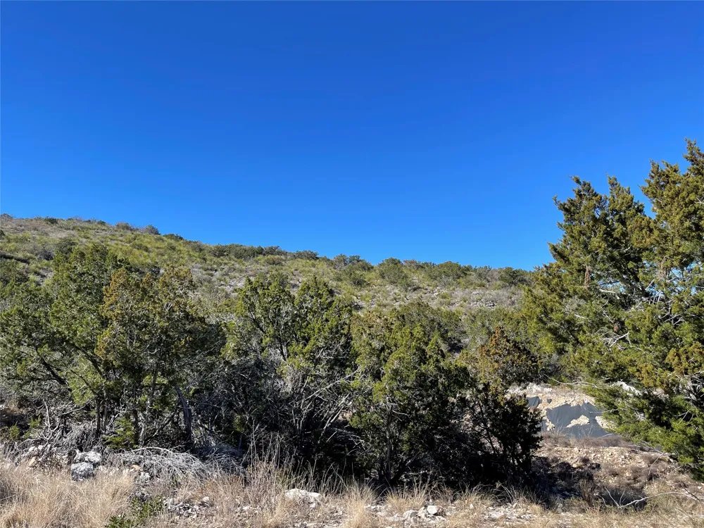 305 Walnut Springs Ranch Road Uvalde, TX 78801