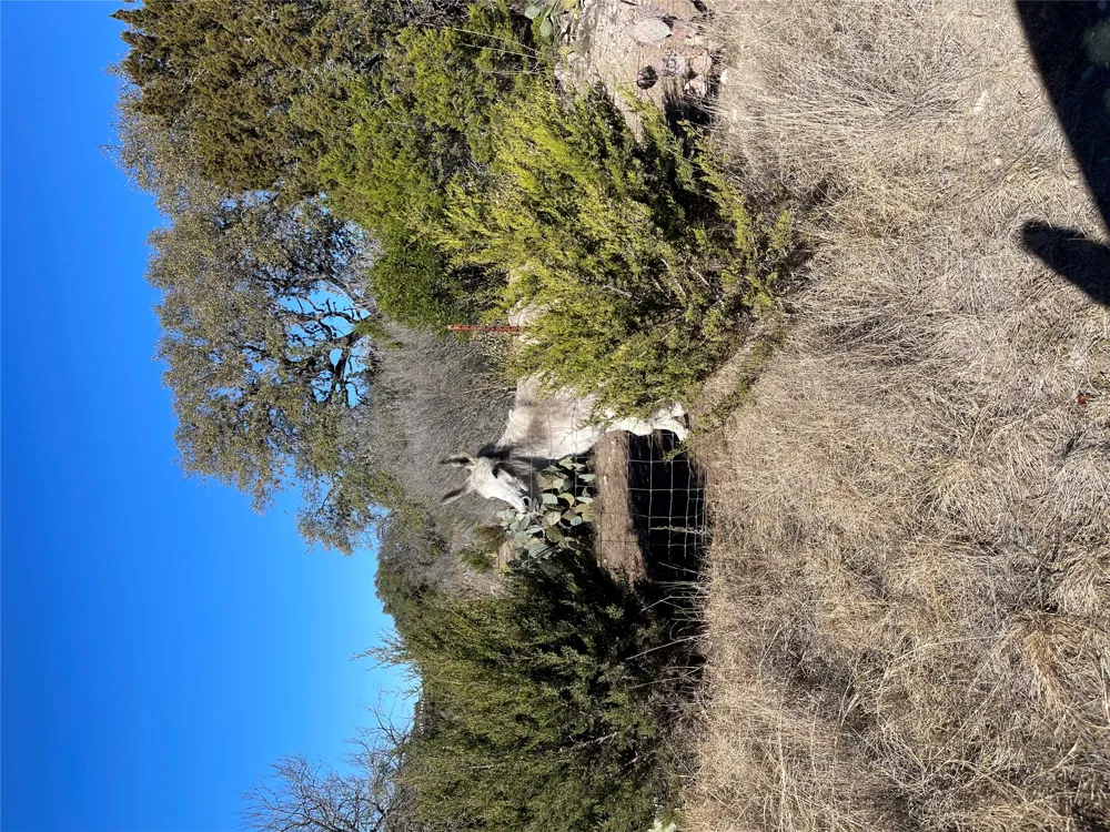 305 Walnut Springs Ranch Road Uvalde, TX 78801