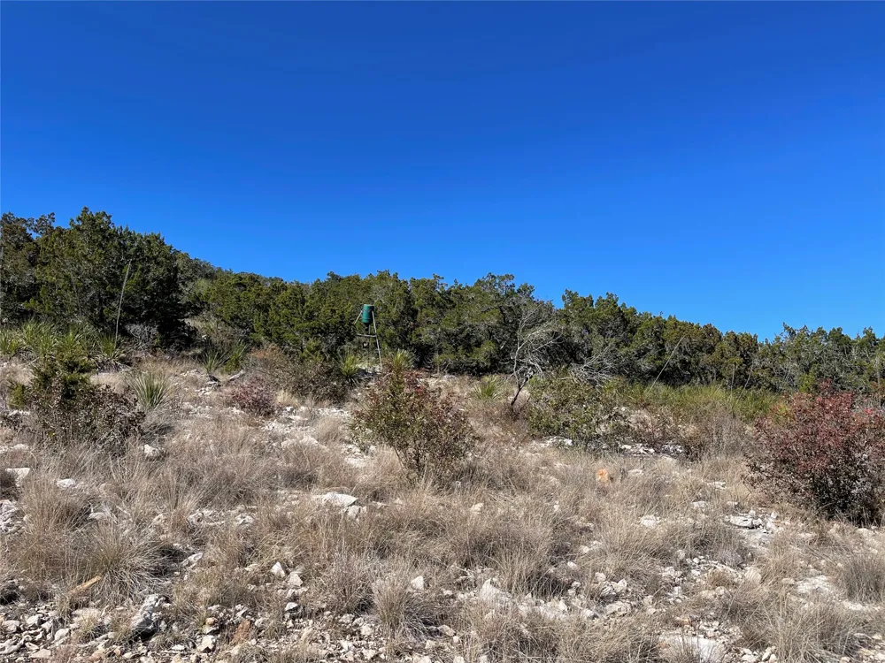 305 Walnut Springs Ranch Road Uvalde, TX 78801