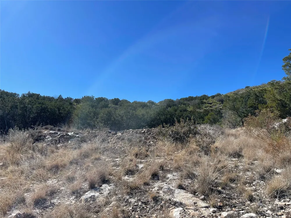 305 Walnut Springs Ranch Road Uvalde, TX 78801