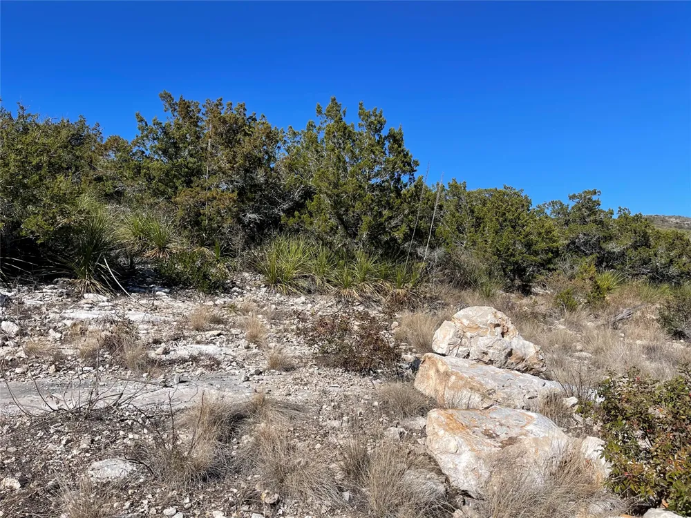305 Walnut Springs Ranch Road Uvalde, TX 78801