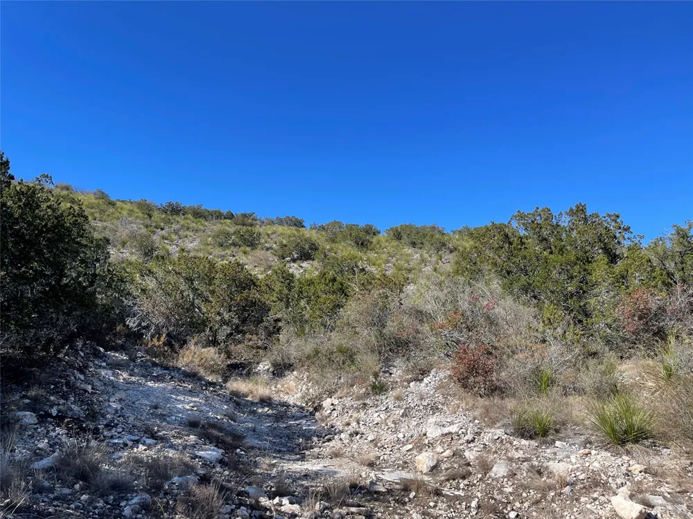 305 Walnut Springs Ranch Road Uvalde, TX 78801