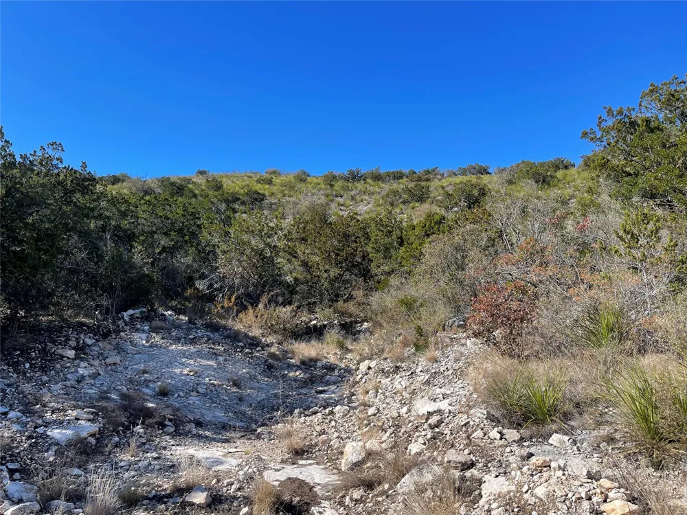 305 Walnut Springs Ranch Road Uvalde, TX 78801