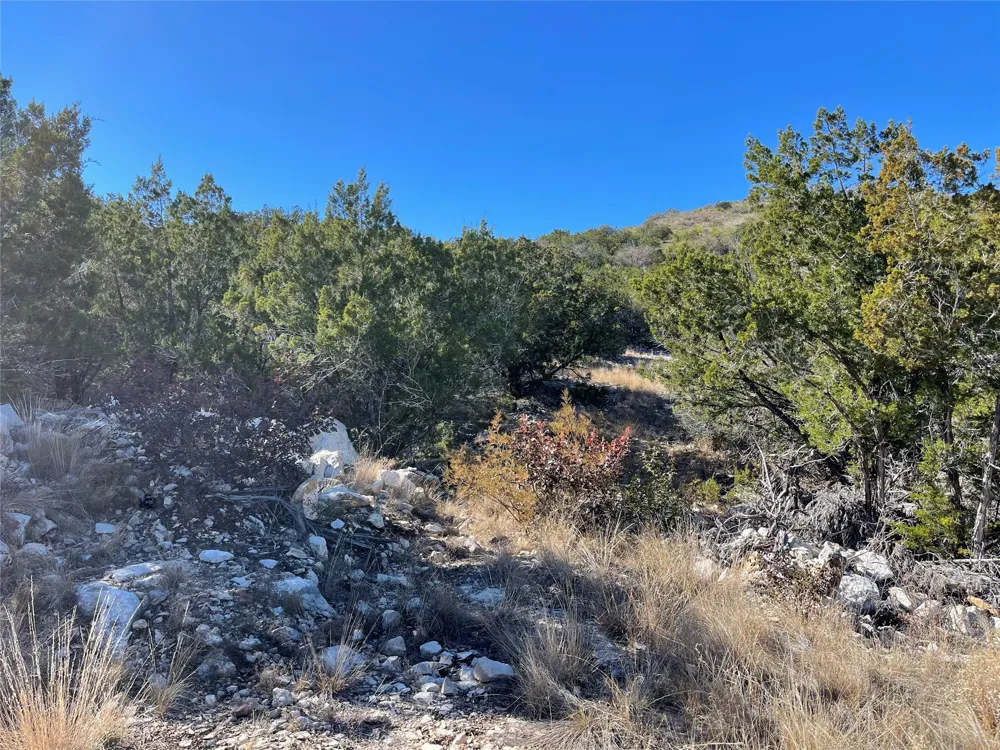 305 Walnut Springs Ranch Road Uvalde, TX 78801