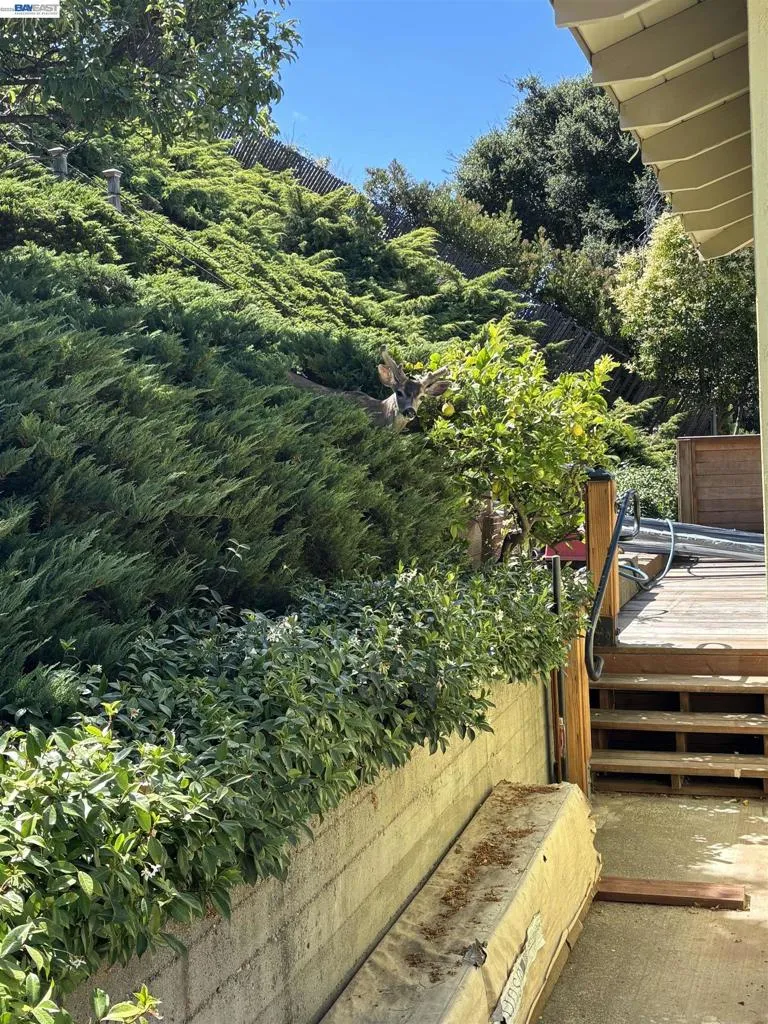 21671 Shady Spring Rd Castro Valley, CA 94546