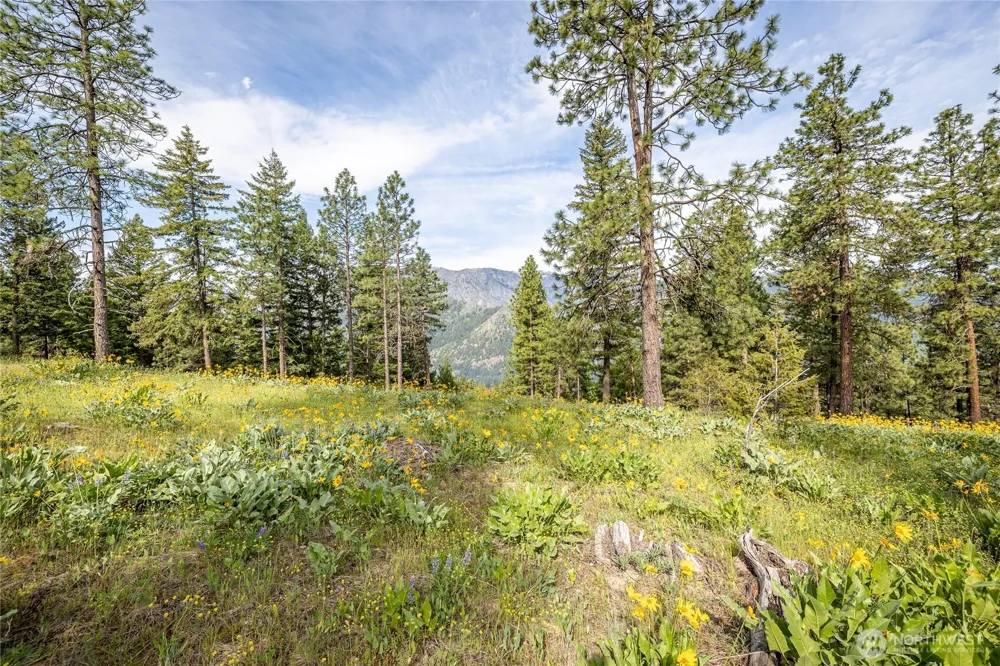 329 First Grade Road Leavenworth, WA 98826