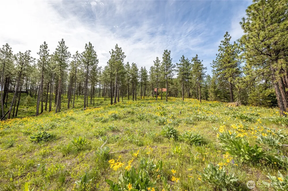 329 First Grade Road Leavenworth, WA 98826