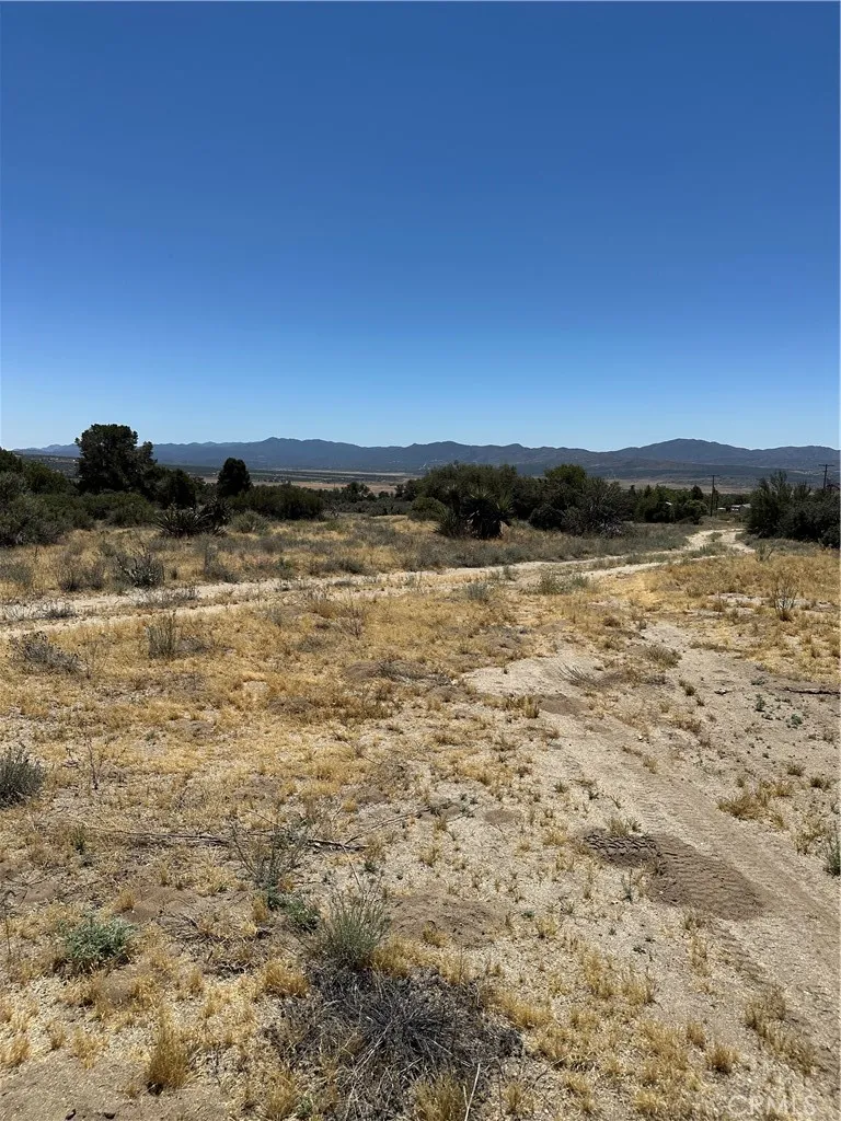 37380 Bohlen Anza, CA 92539