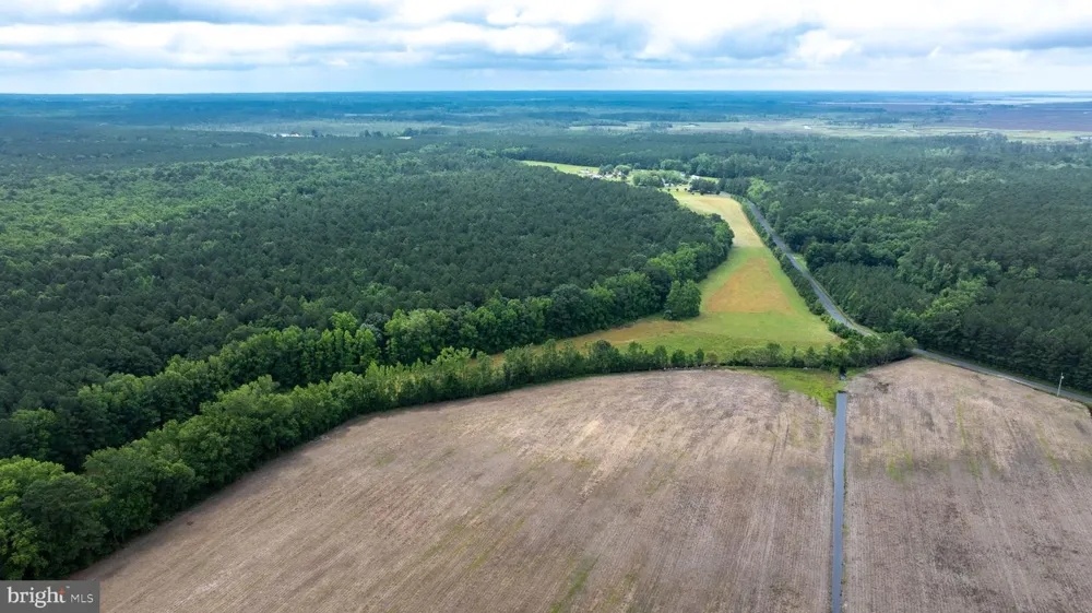 25367 MESSONGO ROAD Temperanceville, VA 23442