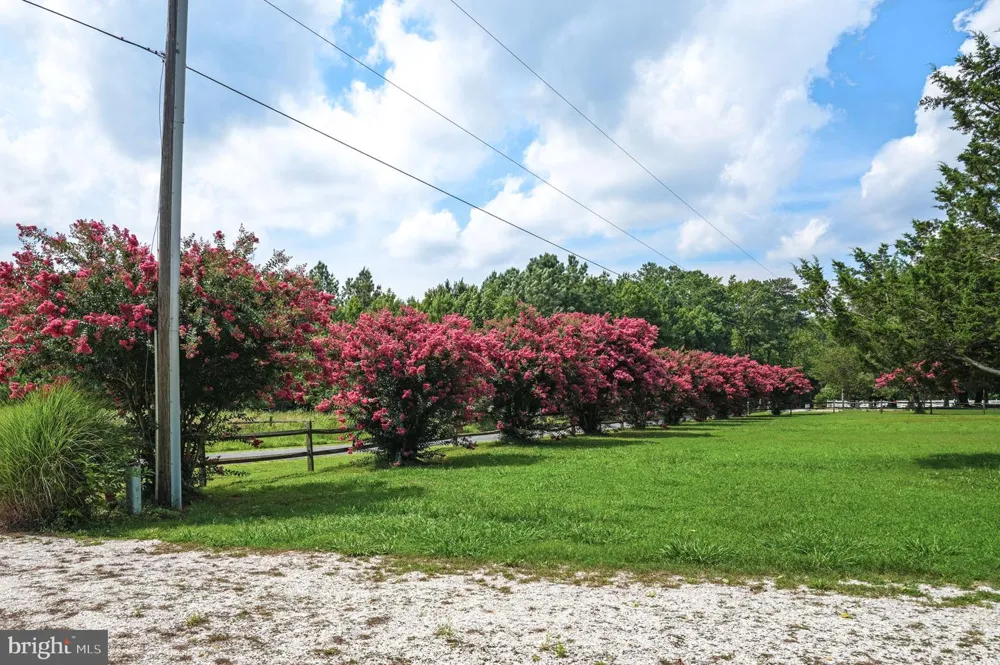 25367 MESSONGO ROAD Temperanceville, VA 23442
