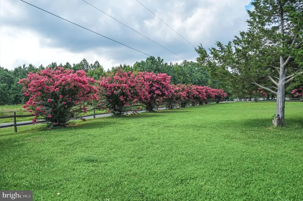 25367 MESSONGO ROAD Temperanceville, VA 23442