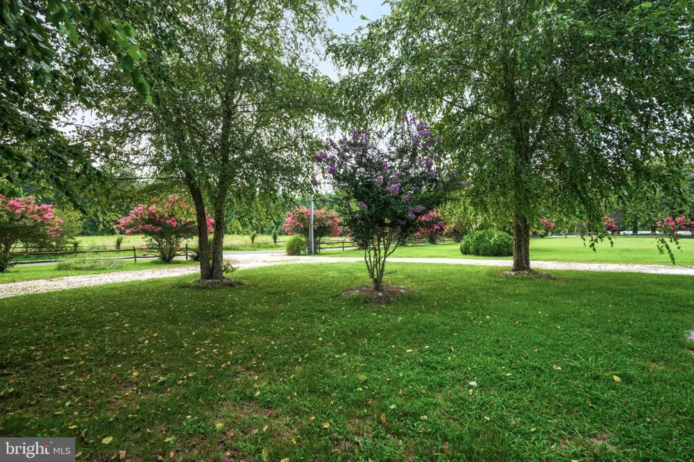 25367 MESSONGO ROAD Temperanceville, VA 23442
