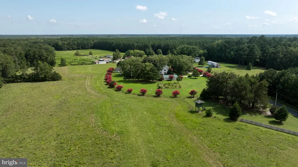 25367 MESSONGO ROAD Temperanceville, VA 23442