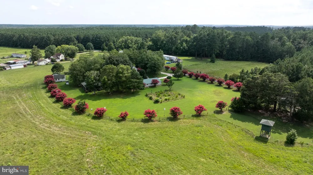 25367 MESSONGO ROAD Temperanceville, VA 23442