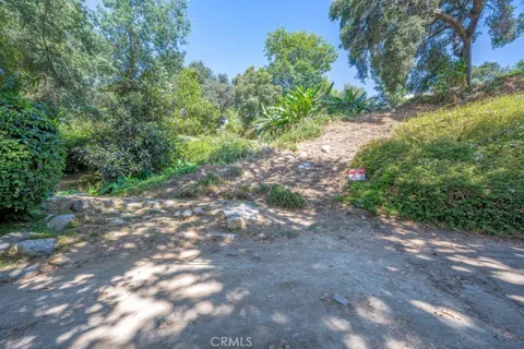 487 Woodland