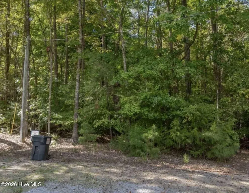 0 Locust Court Littleton, NC 27850