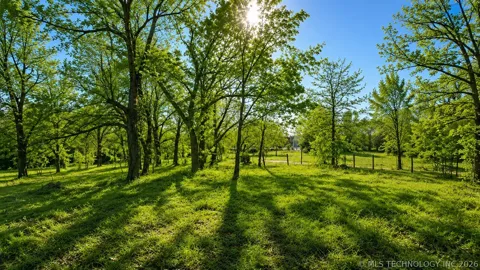 2 Hickory Bluff Street