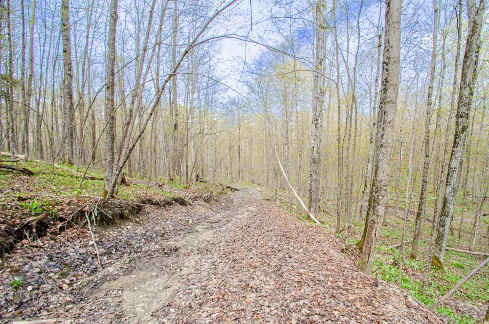 4839 Bunker Hill Road Echo Township, MI 49622