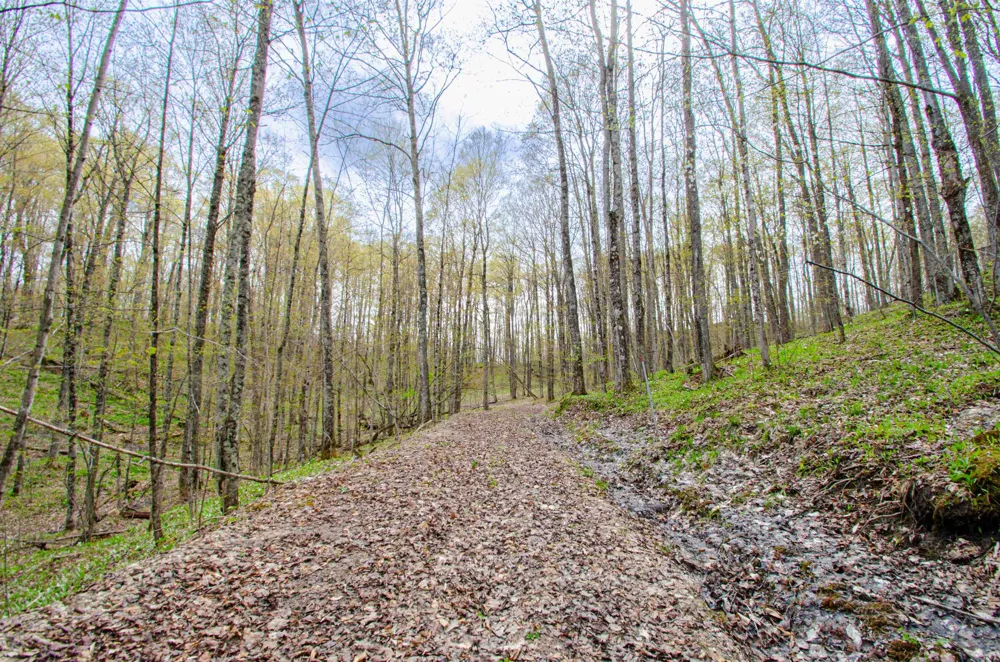 4839 Bunker Hill Road Echo Township, MI 49622