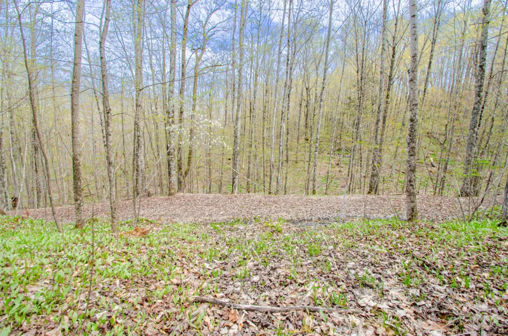 4839 Bunker Hill Road Echo Township, MI 49622