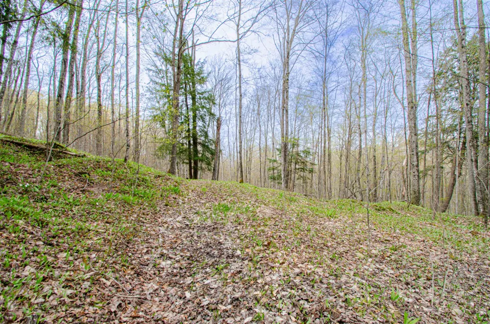 4839 Bunker Hill Road Echo Township, MI 49622
