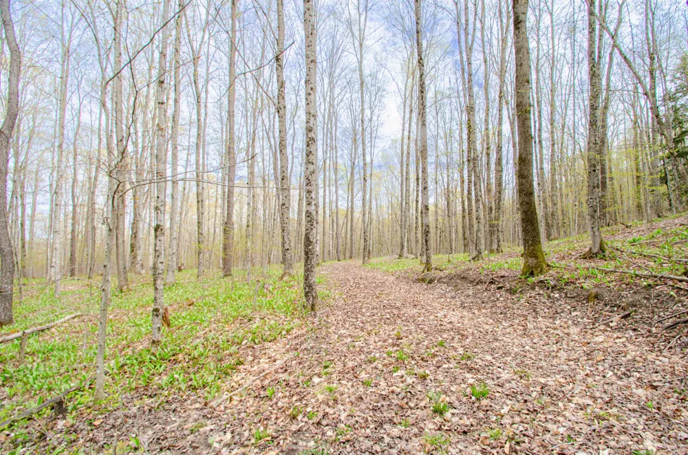 4839 Bunker Hill Road Echo Township, MI 49622
