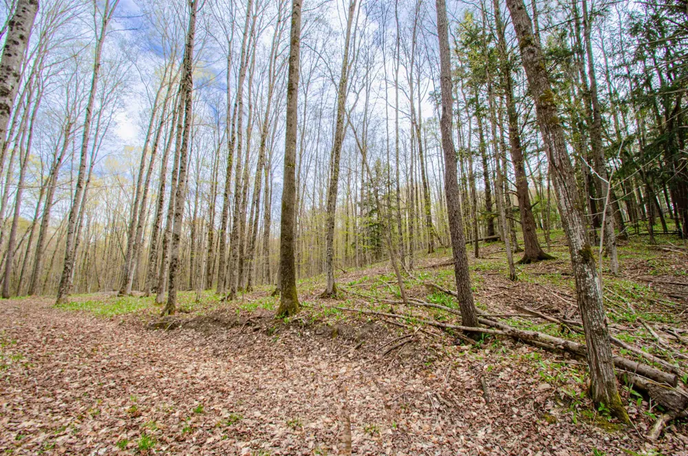 4839 Bunker Hill Road Echo Township, MI 49622