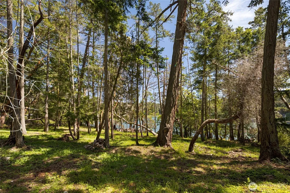 0 De Haro Lane Friday Harbor, WA 98250