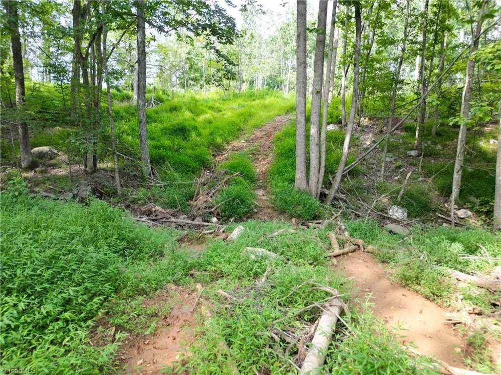 00 NC Highway 49 S Denton, NC 27239