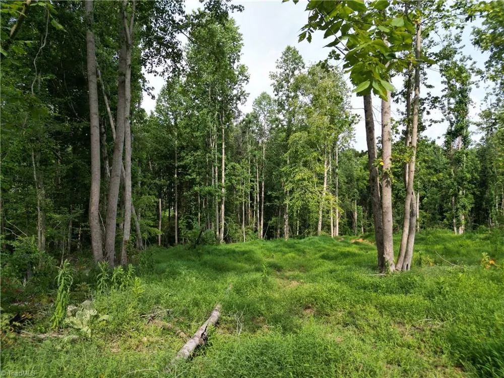 00 NC Highway 49 S Denton, NC 27239