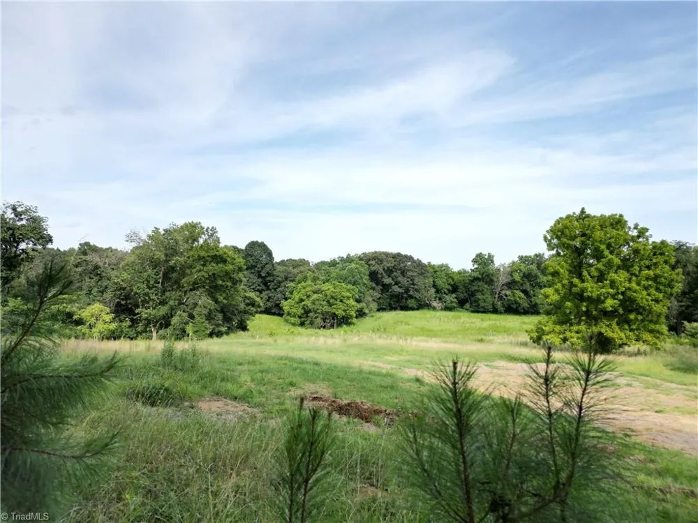 00 NC Highway 49 S Denton, NC 27239