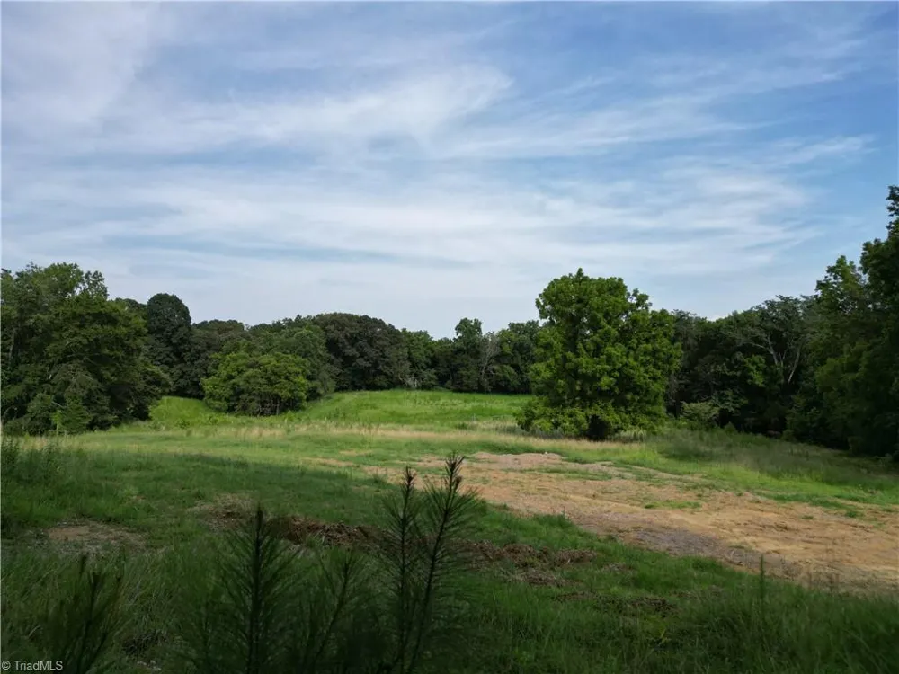 00 NC Highway 49 S Denton, NC 27239