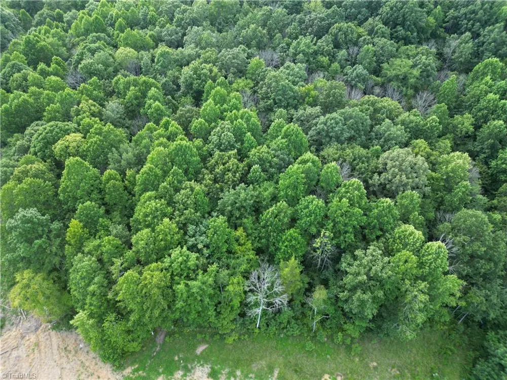 00 NC Highway 49 S Denton, NC 27239