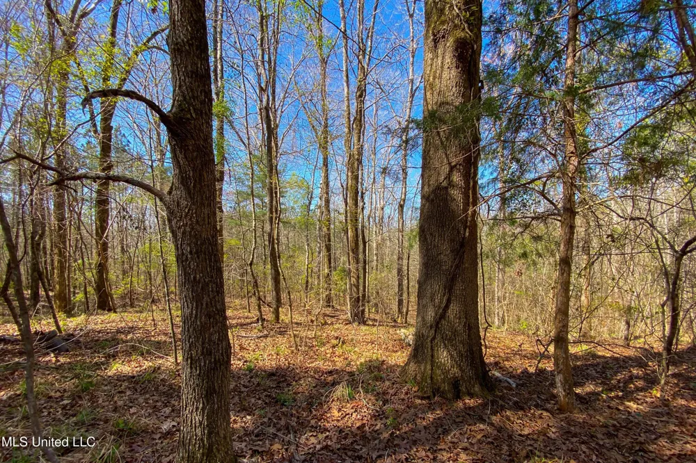 481 Ward Road Florence, MS 39073