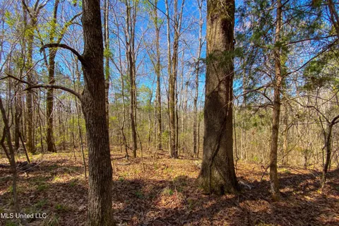 481 Ward Road